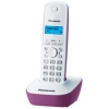 Panasonic KX-TG1611